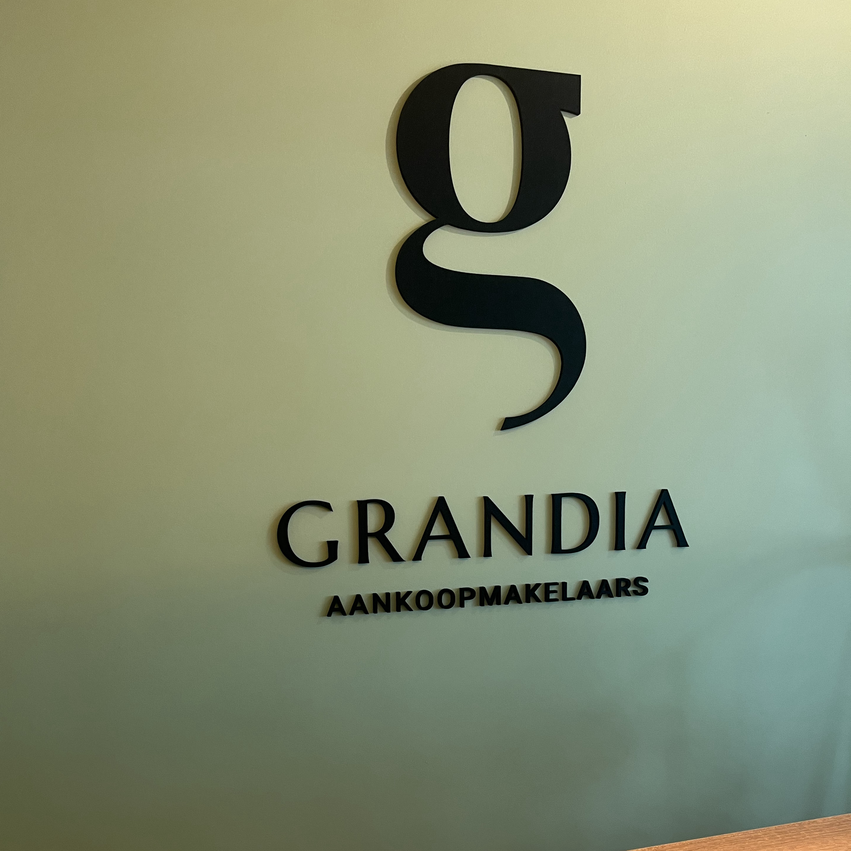 Grandia (3)